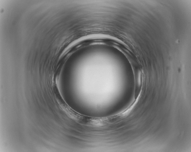 X0000076310190200609291110