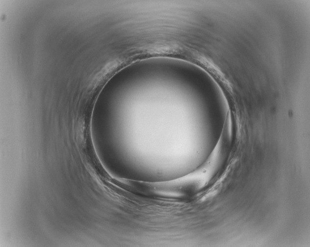 X0000076310201200609291109