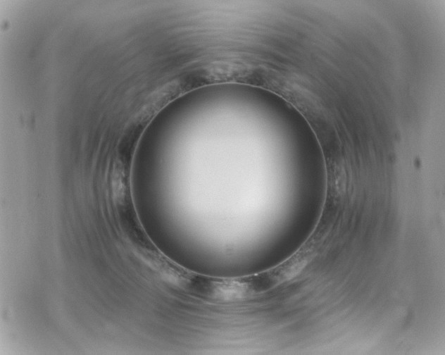 X0000076310226200609291109