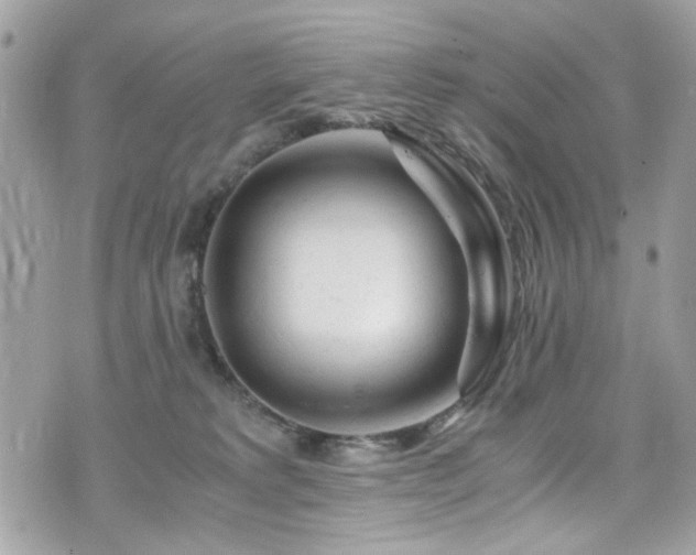 X0000076310229200609291109