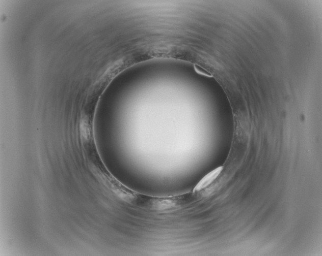 X0000076310287200609291108