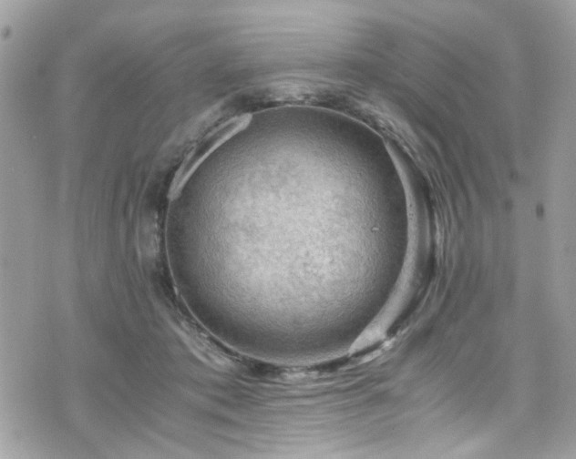 X0000076310413200609291106