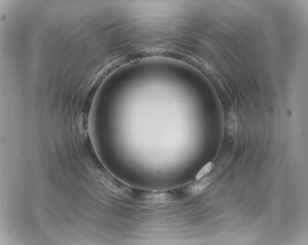 X0000076310428200609291105