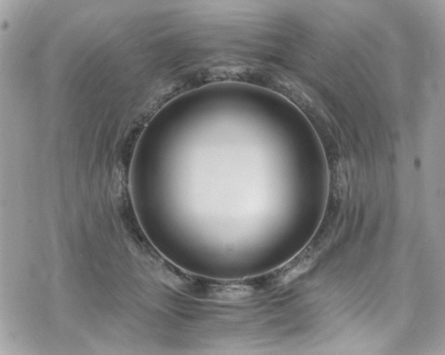 X0000076310463200609291105