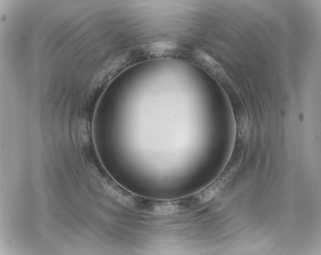X0000076310470200609291105