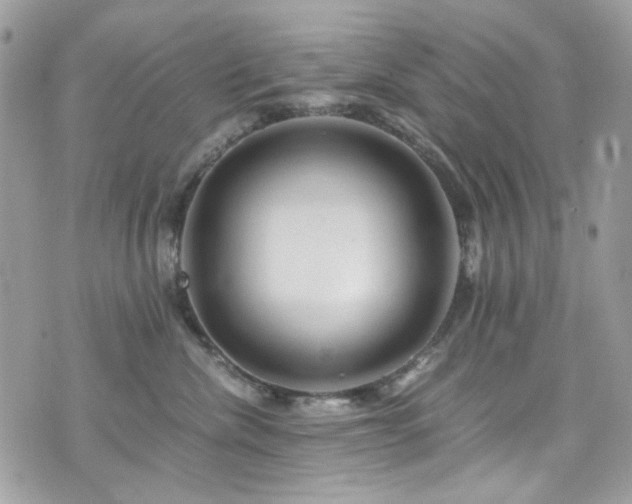X0000076310476200609291105