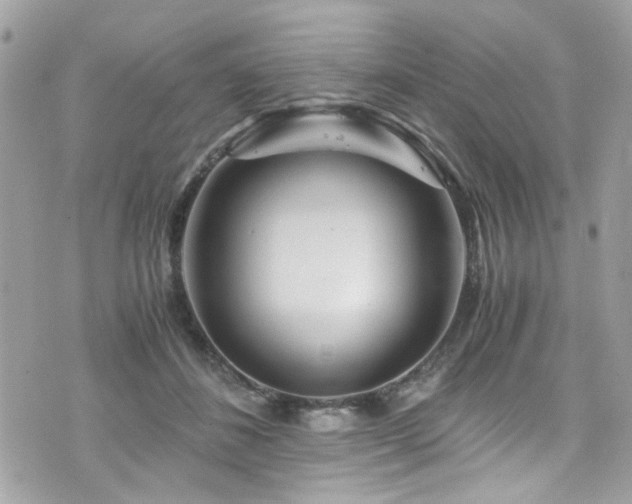 X0000076310508200609291104