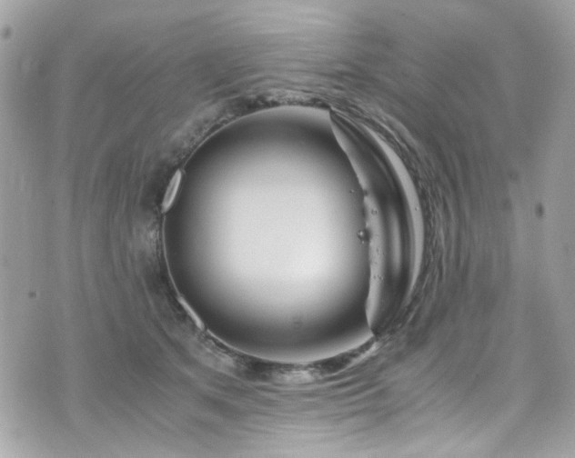 X0000076310513200609291104
