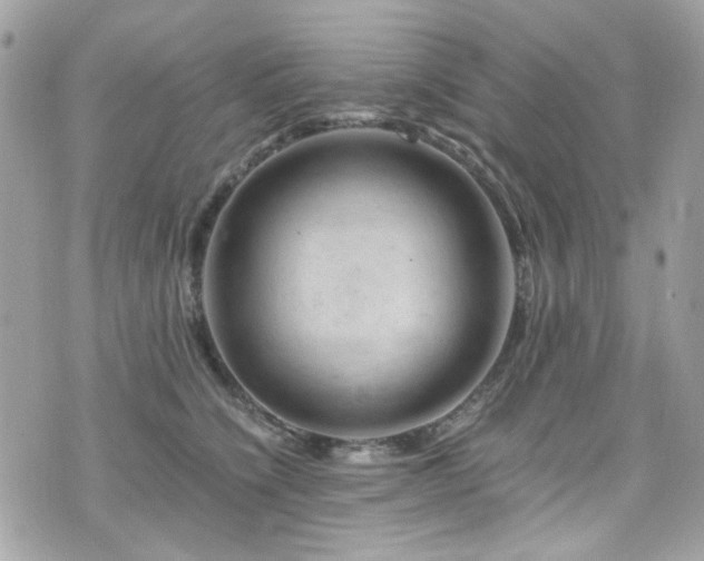 X0000076310564200609291103