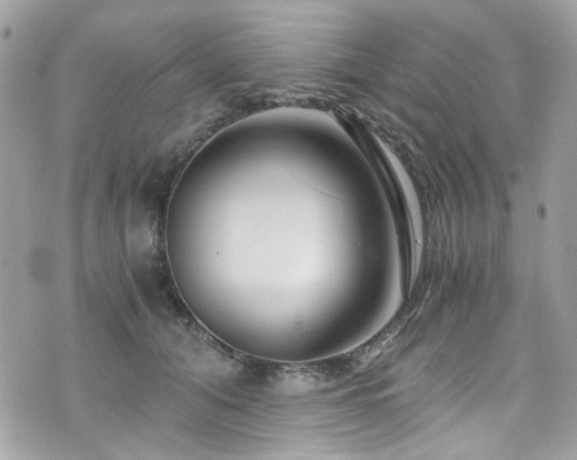 X0000076310608200609291102