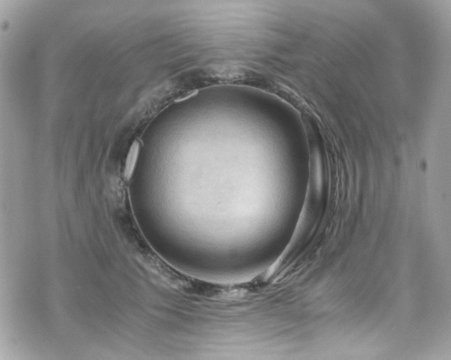 X0000076310609200609291102