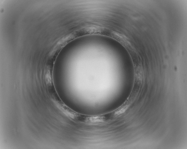 X0000076310622200609291102