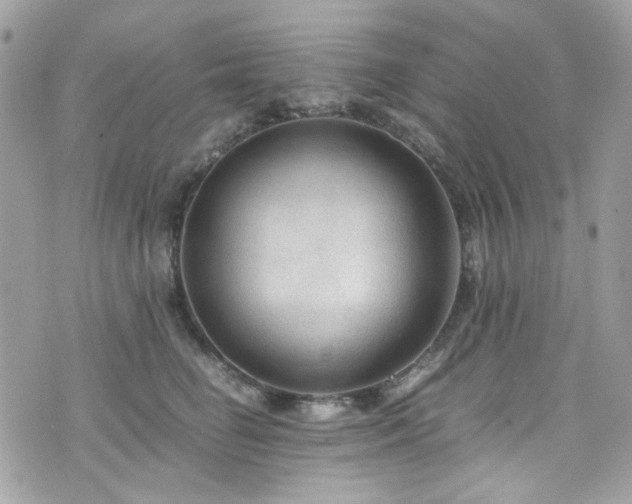 X0000076310662200609291102