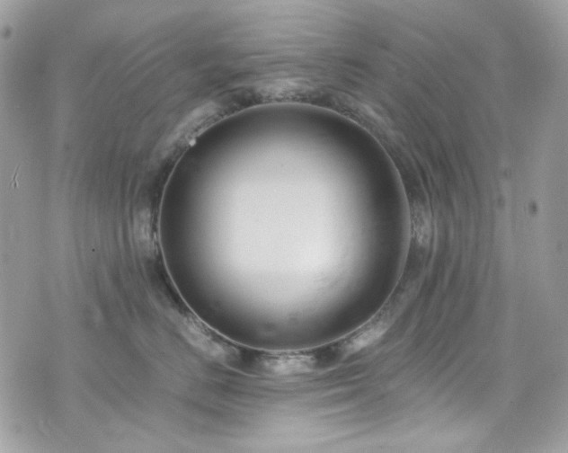 X0000076310670200609291102