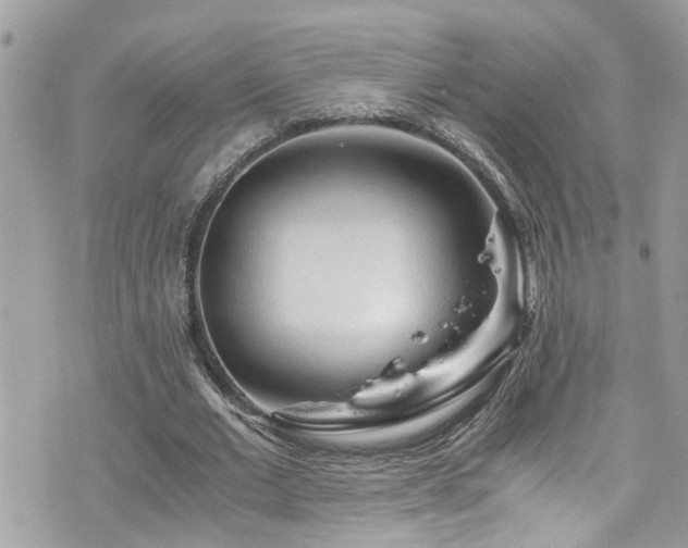 X0000076310677200609291101