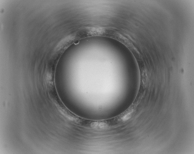 X0000076310714200609291101
