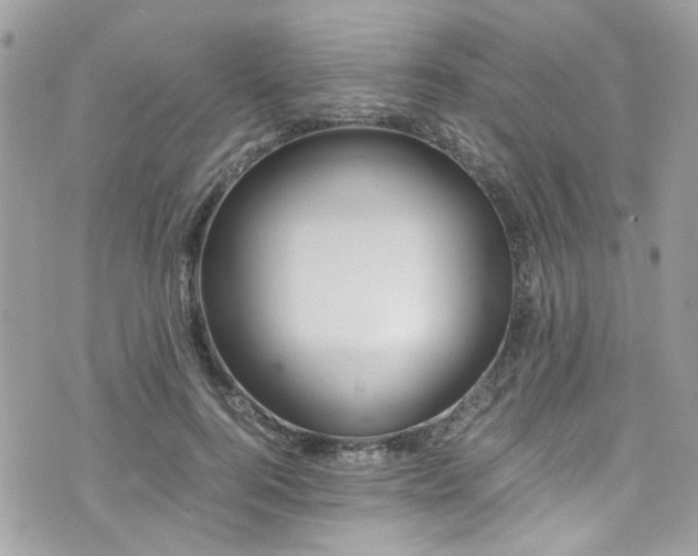 X0000076310744200609291100