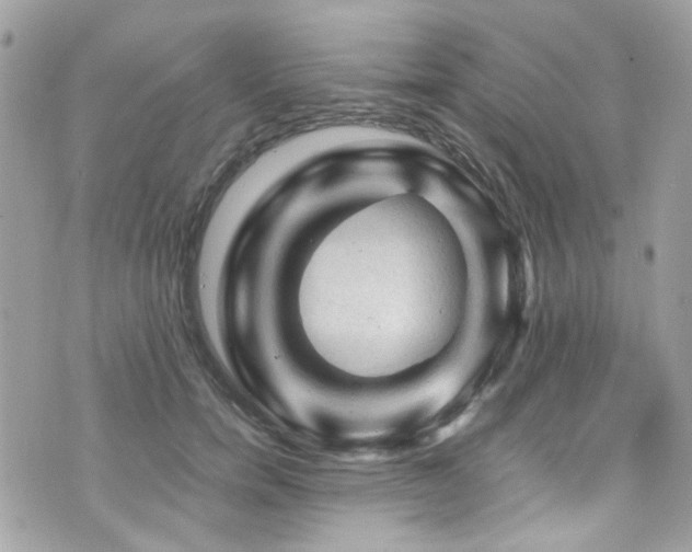 X0000076310750200609291100