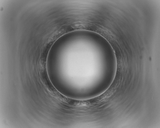X0000076310751200609291100
