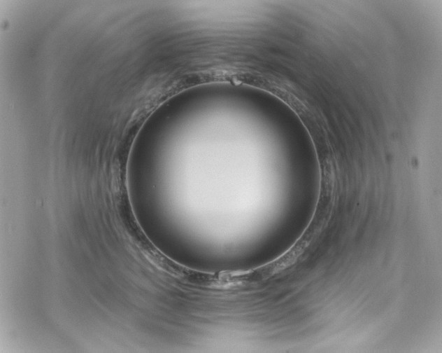 X0000076310760200609291100