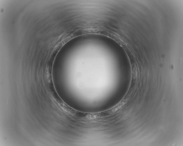 X0000076310764200609291100