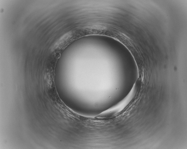 X0000076310774200609291100