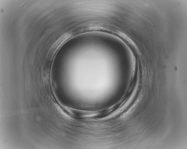 X0000076310801200609291059