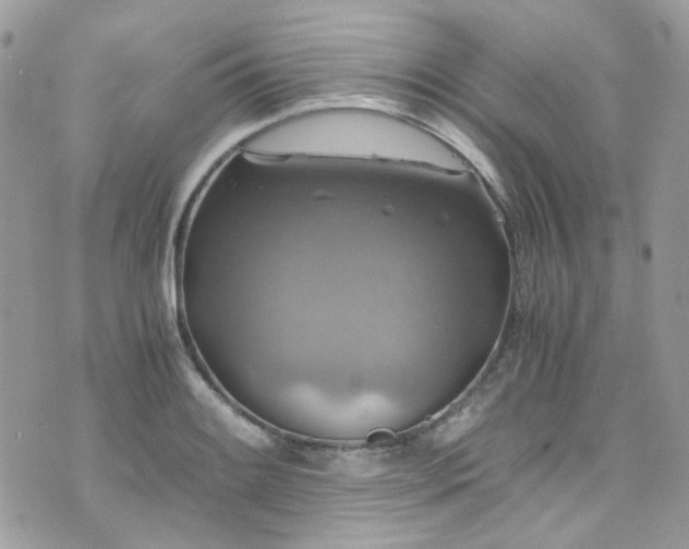 X0000076311084200609291055