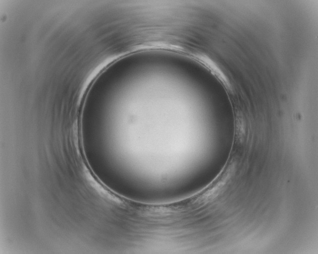 X0000076311100200609291054