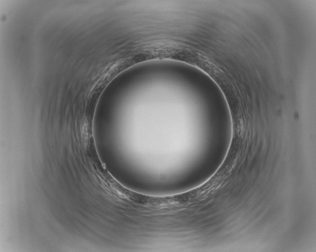 X0000076311108200609291054