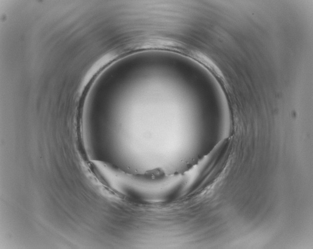 X0000076311138200609291054