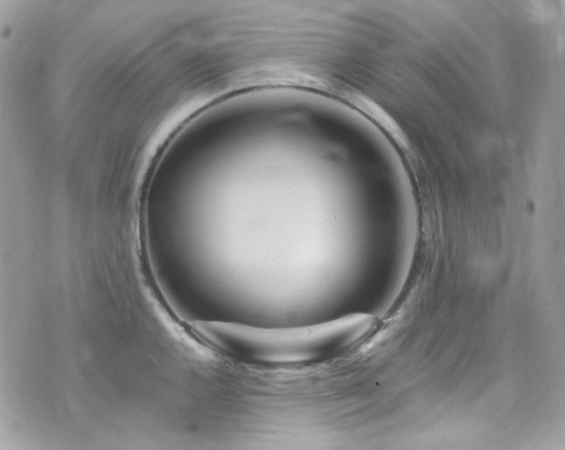 X0000076311144200609291054