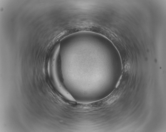 X0000076311156200609291053