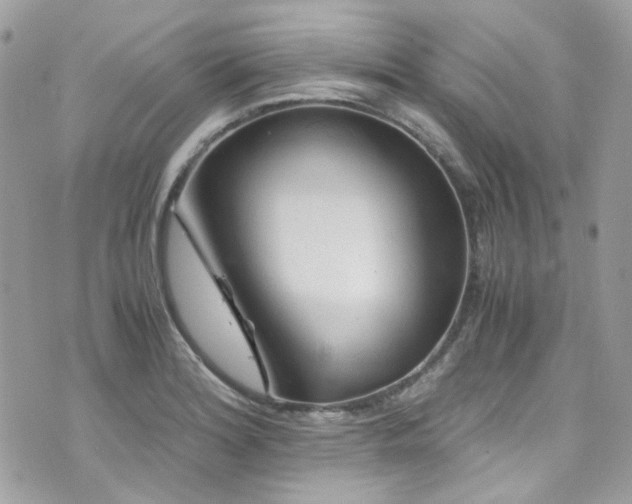 X0000076311180200609291053