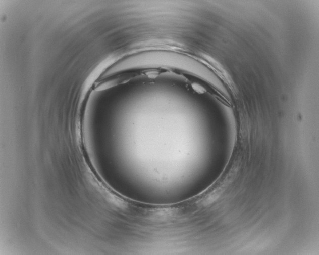 X0000076311188200609291053