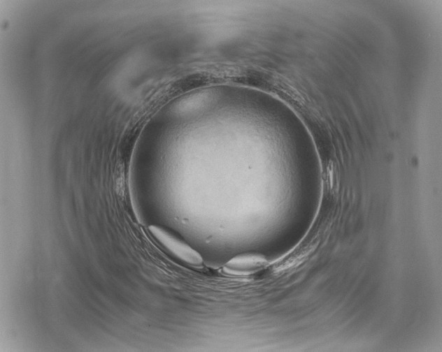 X0000076311251200609291052