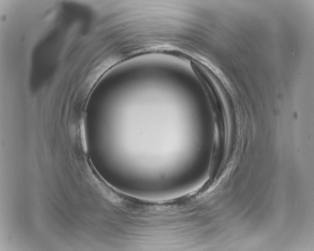 X0000076311281200609291051