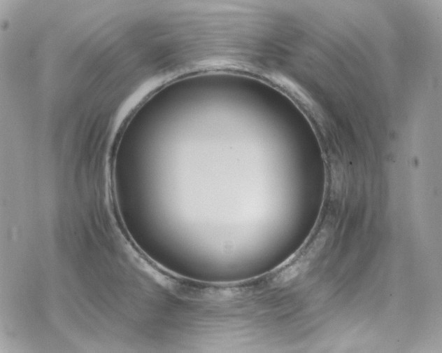 X0000076311286200609291051