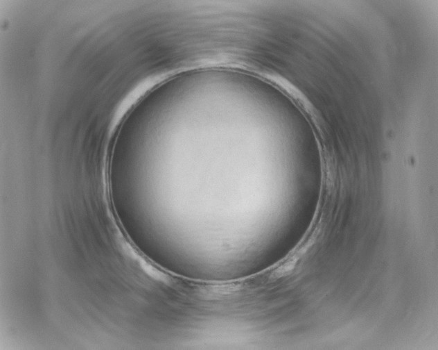 X0000076311294200609291051