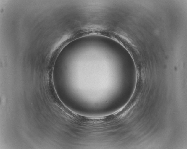 X0000076311309200609291051