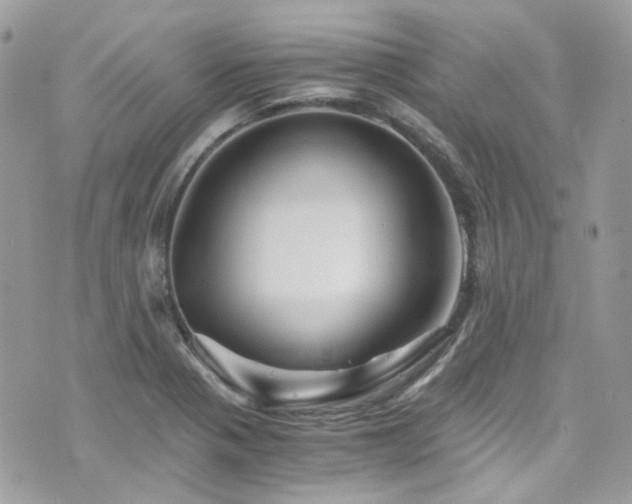 X0000076311321200609291051