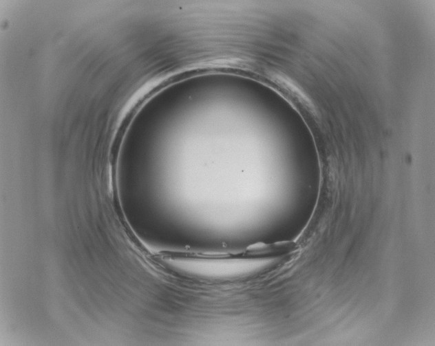 X0000076311324200609291051