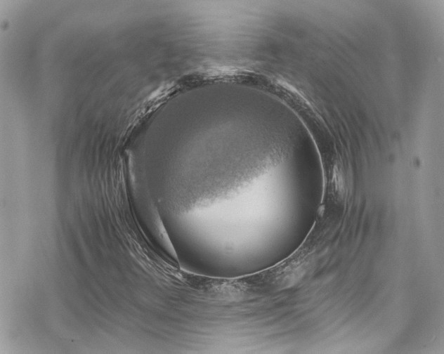 X0000076311348200609291050