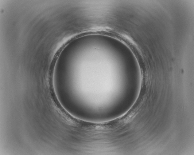 X0000076311412200609291049