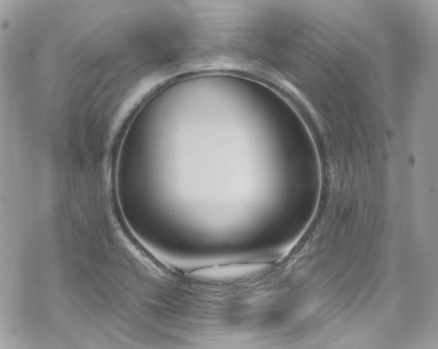 X0000076311416200609291049