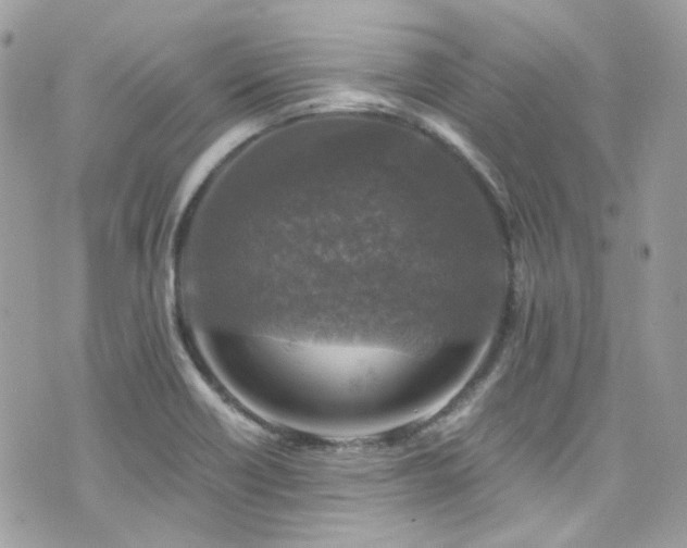 X0000076311418200609291049