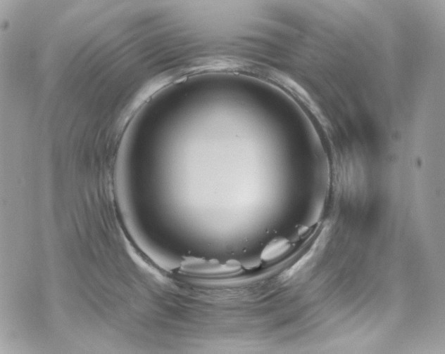 X0000076311433200609291049