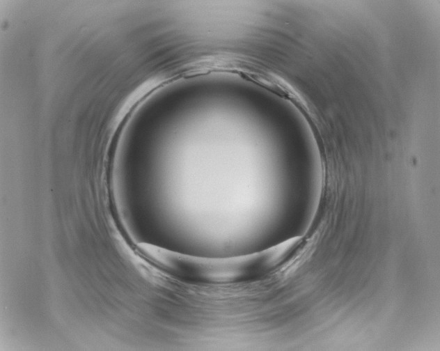 X0000076311434200609291050