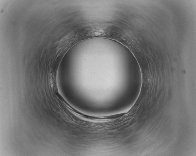 X0000076311442200609291049