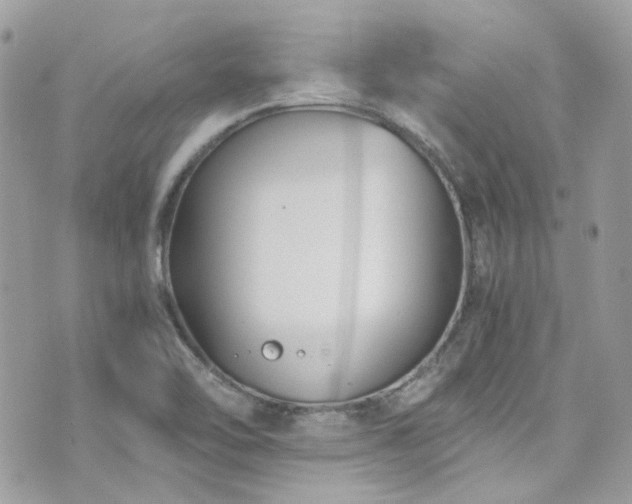 X0000076311462200609291048